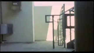 Bruno Chase