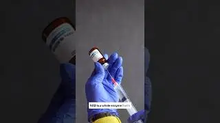 What is NAD+ Drip Therapy?