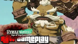 (Switch 2) Hyrule Warriors: Age of Imprisonment (Raw Gameplay) P.5 Chapter 3 Side Missions! (1080p)
