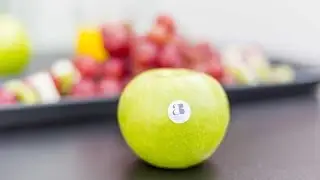 Artiem Madrid - Flow - Artiem Fresh People Hotels