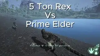 Как потерять несколько часов на Prime Rex Trot Speed