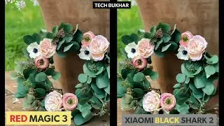 Nubia Red Magic 3 vs Xiaomi black Shark 2 Camera comparison Test || #Redmagic3, #BlackShark2, #48MP