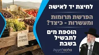 לחיצת יד לאישה | הוספת מים לתבשיל בשבת - הלכה למעשה עם הרב ירון אשכנזי