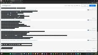 OSINT Solutions IntelX Module