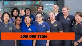 Hot Diggity Dog Resort Franchise Opportunity