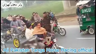 Sajal Ghori Race Mardan 01 February 2026 || Tanga Race || #horse #horseriding #viral 