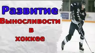 How to increase endurance in hockey. A scientific approach.