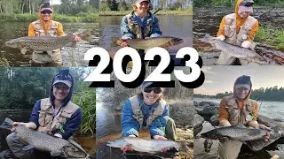 2023 - PARHAAT TÄRPIT (4K)