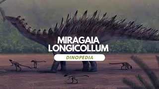 Dinopedia - Miragaia longicollum