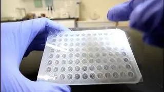 How to use Microplate Sealing Film