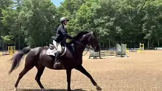 Monumental- .85 jumper: Fieldstone Show Park Halifax, Ma 7/27