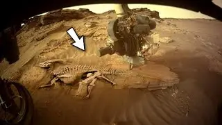 NASA's Mars Perseverance Rover shared these new images on martian surface on sol 490-492: Mars Pics