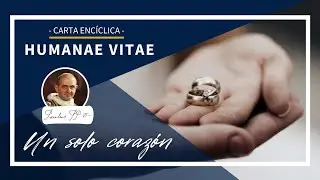 Humanae Vitae: Un solo coraz&oacute;n