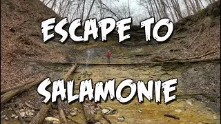 Breaking Quarantine: Escape to Salamonie River State Forest