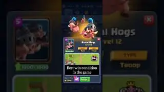 Maxing BEST Royal Hogs deck🤤Clash Royale