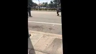 Italian bitch fight