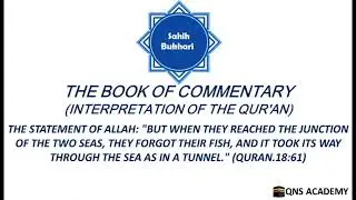Bukhari 65-18-3: But when they reached the junction of the two seas, they forgot their fish & it...