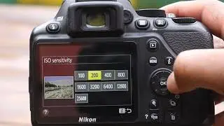 Nikon D3500 Correct Exposure Settings ☀️🌙 | Perfect Photos & Videos Every Time!