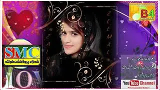Zeemal Zaibi New Best Song 2023| Allah Allah Amo Zaiba| Zahid Shehzad |Shehzad Production Official|