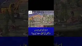 Islamabad halts massive tree cutting 🌳🏛️ Court stops CDA, citizens & parties prote ⚠️ #Viral #ForYou
