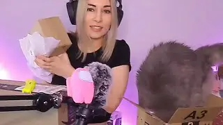 Cat goes...