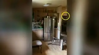 Ghost Face Caught on Camera