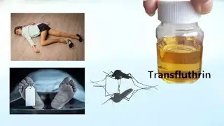 What is Transfluthrin? ट्रांसफ्लुथ्रिन क्या है? Details about transfluthrin. ट्रांसफ्लुथ्रिन .