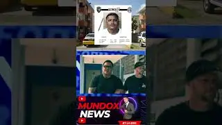 arrestan a la bestia l&iacute;der de ganga del resid&eacute;ncial luis llorens torres