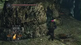 DARK SOULS II - Skeleton Lords (Lifedrain Patch Goes Brrrr)