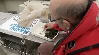 Scientists spot floating plastic waste from orbit