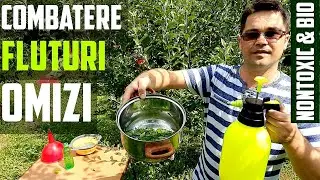 BIO ! Combatere fluturi albi la varza Combarere omizi legume