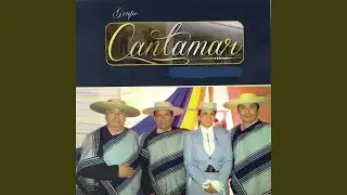 Miradas - Cueca para el olvido