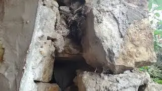 Replacing a stone barn foundation