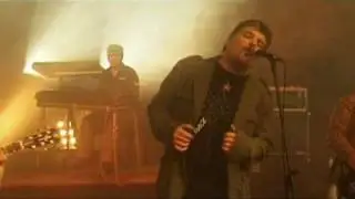 Marigold by Winter Moods - Official Video