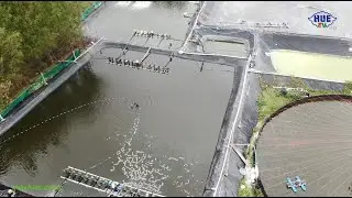 Safe shrimp farming model to overcome floods