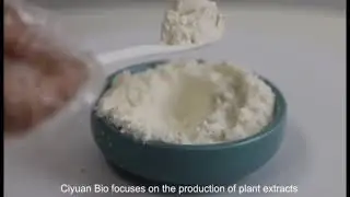 Kiwi Juice Powder( 