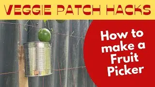 How to make a simple Fruit Picker