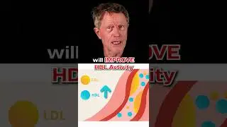 Удаление бляшек с помощью аутофагии