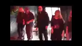 Icewhale Dolphin Dance
