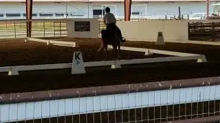 Louise and chazzercyze western dressage 2nd level test 2