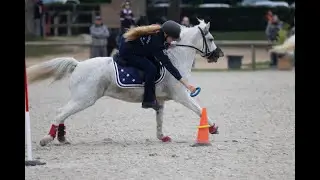 Mounted Games International Cluny Finale A Open Way Up