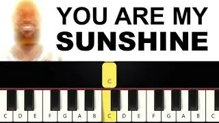 Lebonbon  |  You Are My Sunshine (Piano Tutorial)