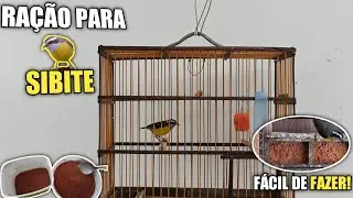 Ração de sabiá para SIBITE | Como preparar 🤔 (Passo a passo)