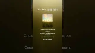 Wild Herbs / Дикие Травы #R&B #music #russianfolk