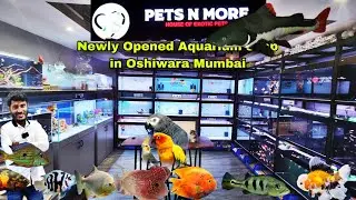 Pets N More Newly opened Aquarium shop in Oshiwara Mumbai