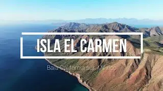 Isla El Carmen - Biodiversidad