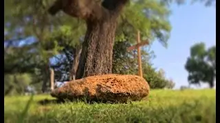 Brandon Hamilton visits 1897 Aurora, Texas UFO Crash & Alien Burial Site