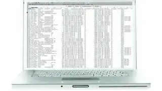 Wines & Vines Online Marketing System