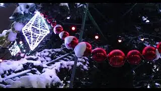 Newyear tree footage