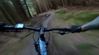 North loop at Whinlatter forest on the Trek Rail 7 ebike...Holiday laps